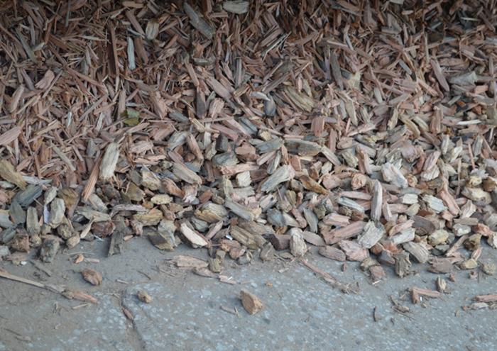 バイオマス発電